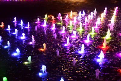 DSC_0726 (Large).JPG